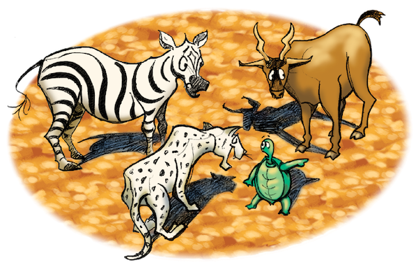 AIM Kit Portal - L'arbre ungali (1 year)