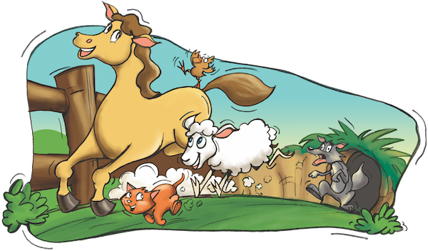 AIM Kit Portal - La poule maboule Immersion (1 year)