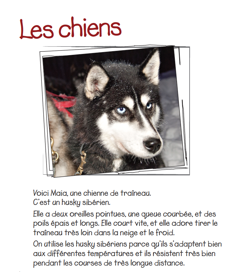 Les chiens de traîneau - Reader (minimum of 6)